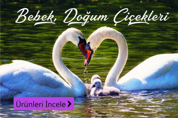 Bebek ve doğum çiçekleri - Kütahya çiçek siparişi