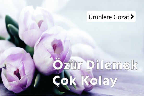 Özür dileme çiçekleri - Kütahya Elçin Çiçekçilik