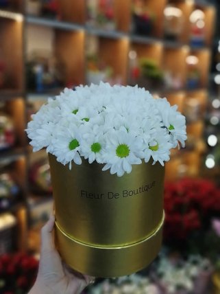 Altın Renkli Kutuda Beyaz Papatyalar